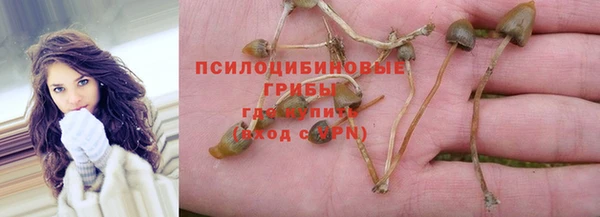 мдпв Липки